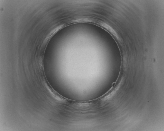 X0000071970849200607282056