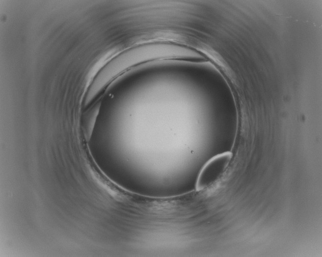 X0000071970850200607282056