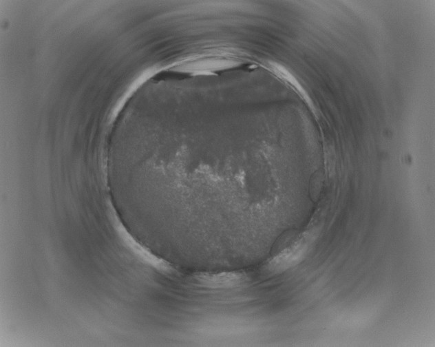 X0000071970851200607282056