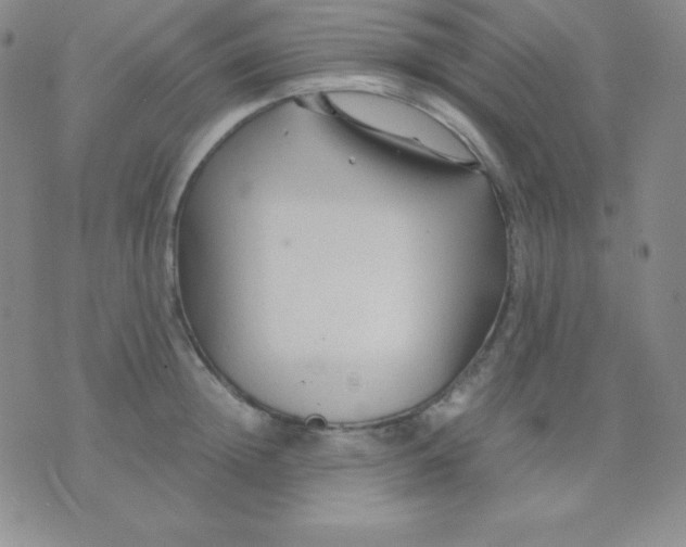 X0000071970852200607282056