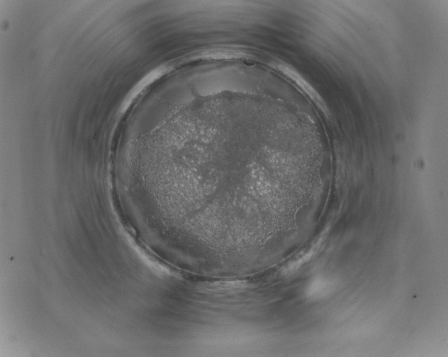 X0000071970853200607282056