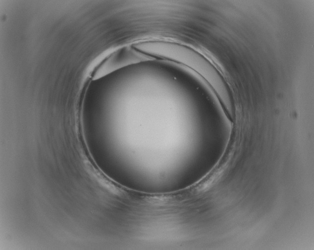 X0000071970854200607282056