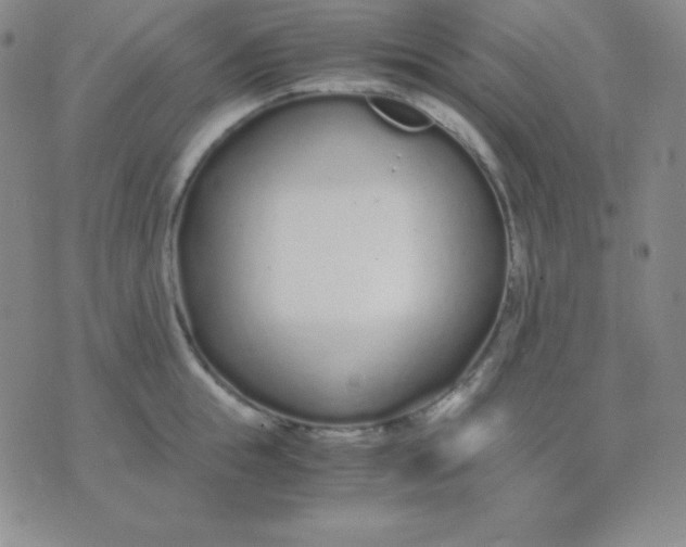 X0000071970855200607282056