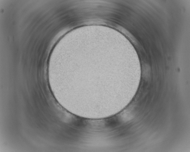 X0000071970856200607282056