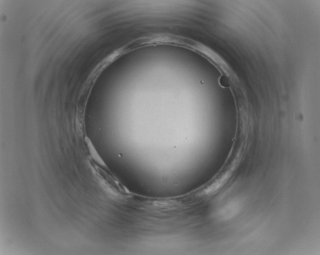 X0000071970857200607282056