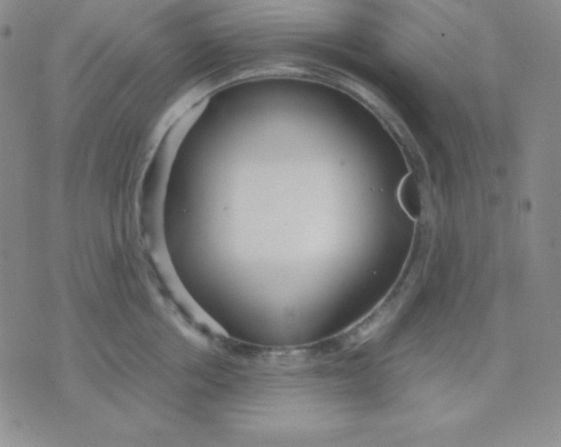 X0000071970858200607282056