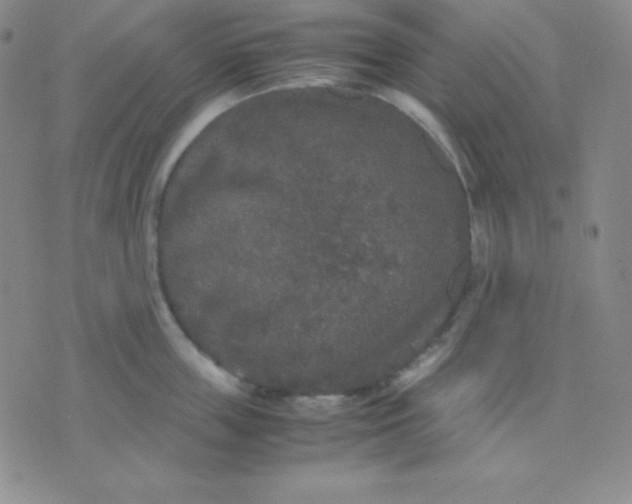 X0000071970859200607282056