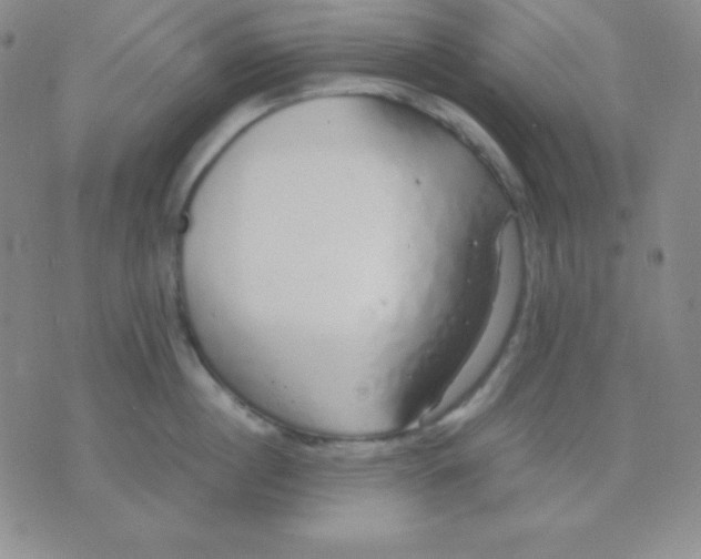 X0000071970860200607282056