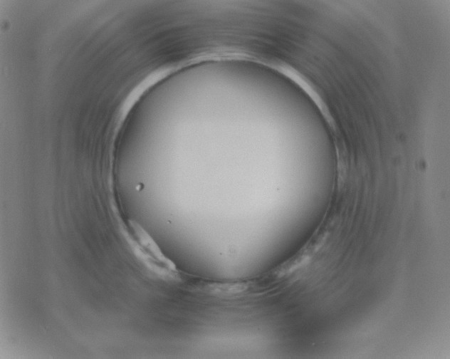 X0000071970861200607282056