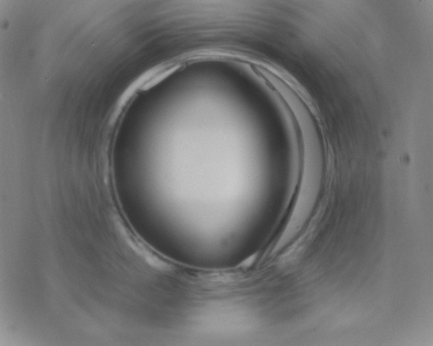 X0000071970862200607282056