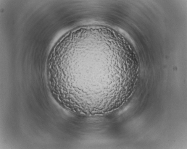 X0000071970863200607282056