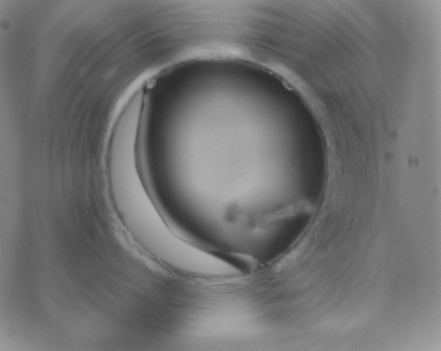 X0000071970864200607282056