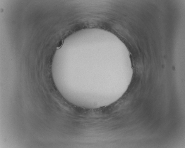 X0000071970865200607282055