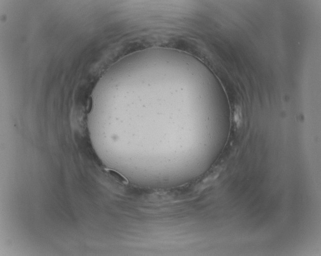 X0000071970867200607282055