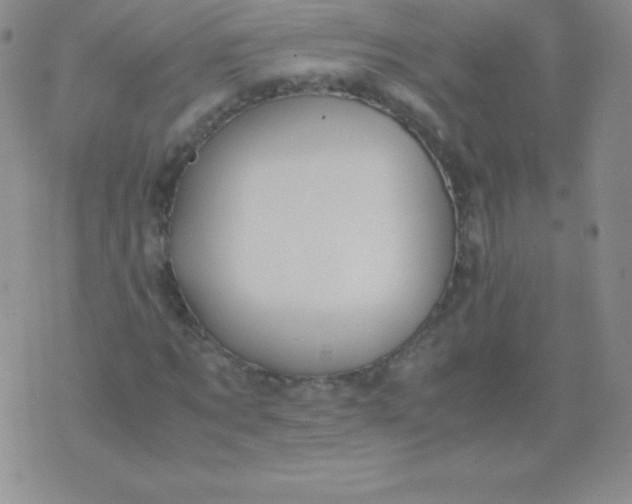 X0000071970869200607282055