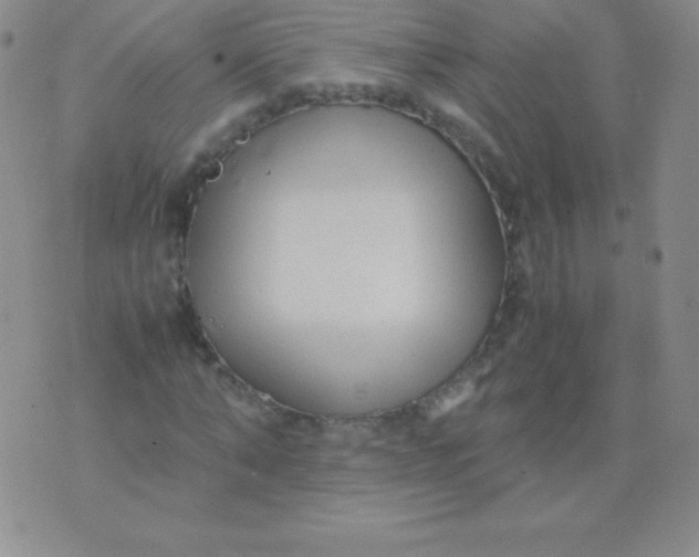 X0000071970870200607282055