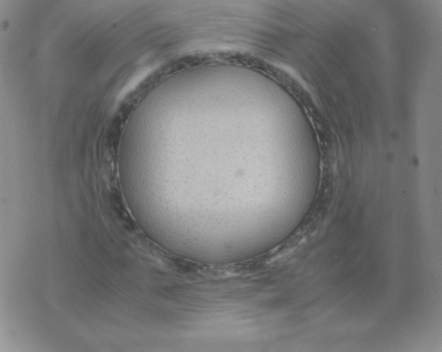 X0000071970871200607282055