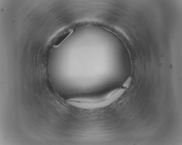 X0000071970872200607282055