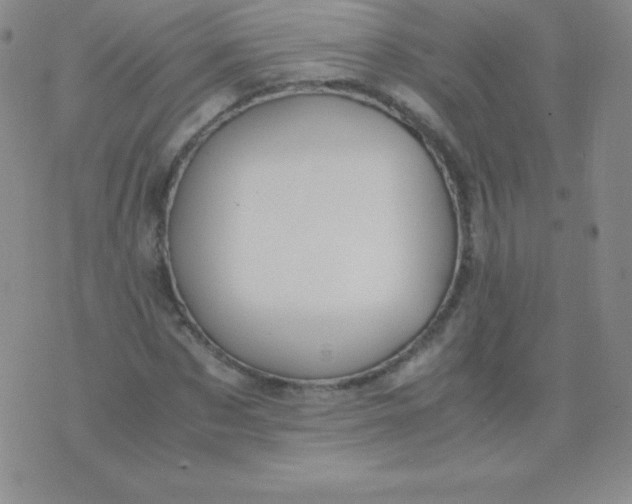 X0000071970873200607282055