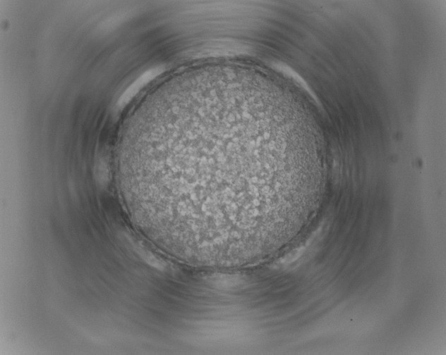 X0000071970874200607282055