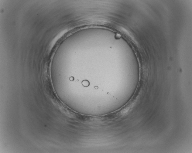 X0000071970875200607282055