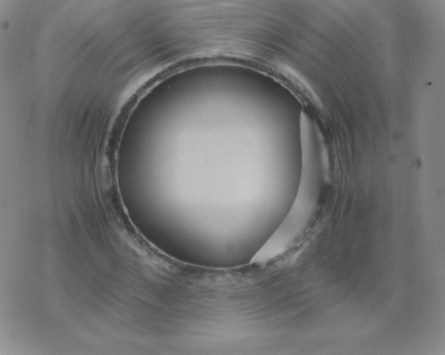 X0000071970876200607282055