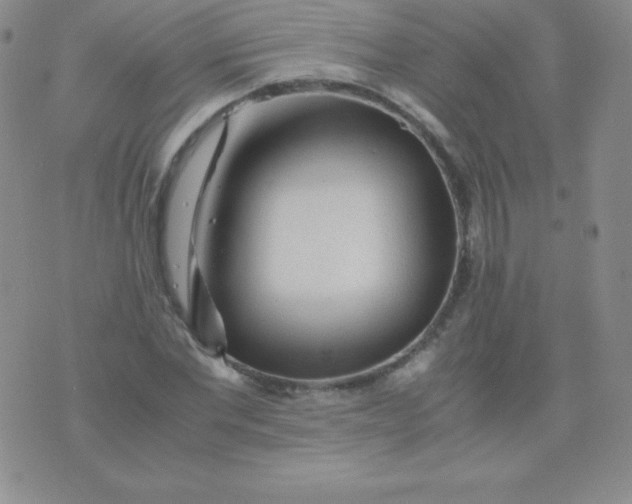 X0000071970877200607282055