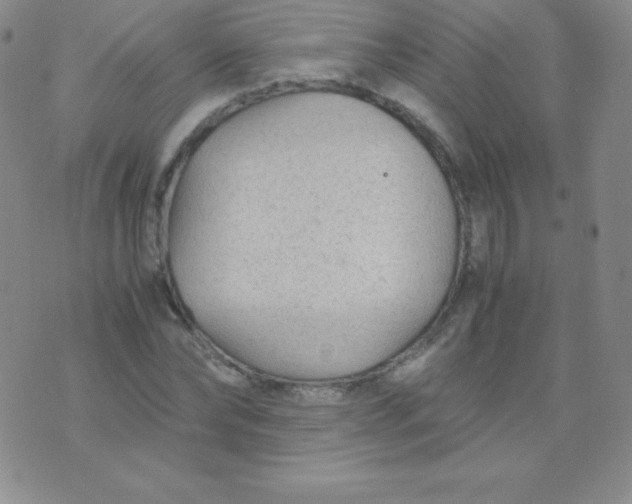 X0000071970878200607282055