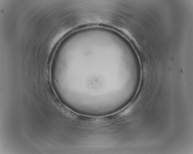 X0000071970879200607282055