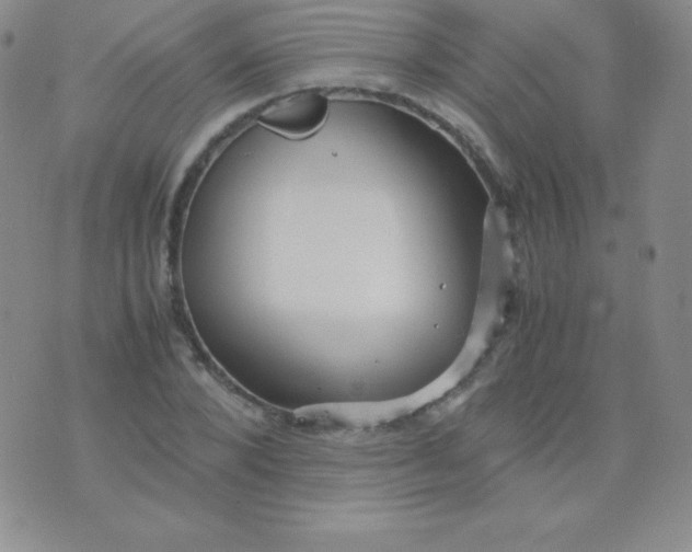 X0000071970880200607282055