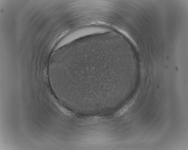 X0000071970881200607282055