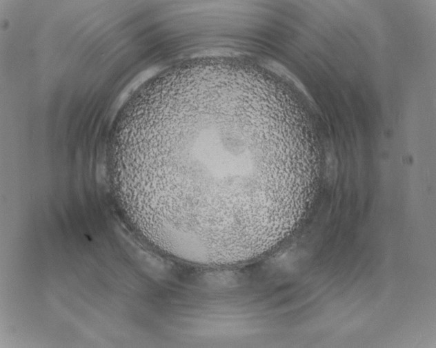 X0000071970882200607282055