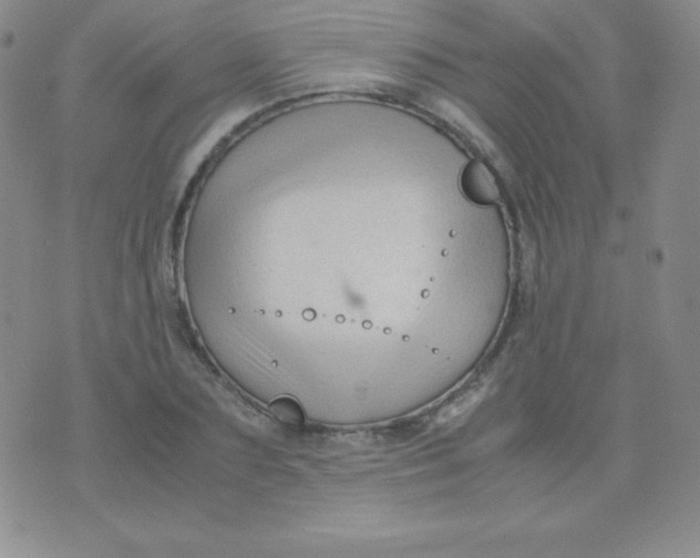 X0000071970883200607282055