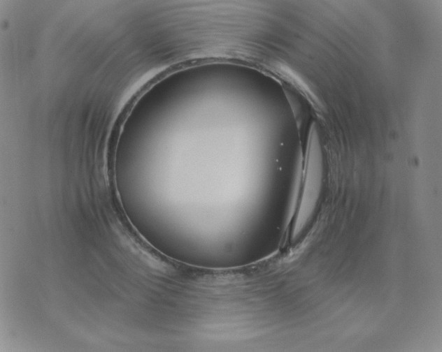 X0000071970884200607282055