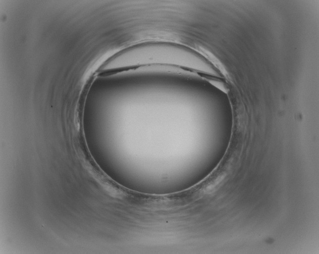 X0000071970885200607282055