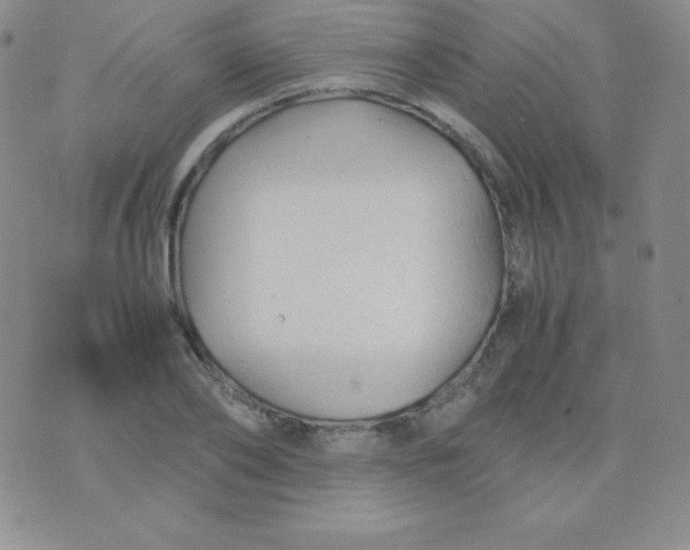 X0000071970886200607282055