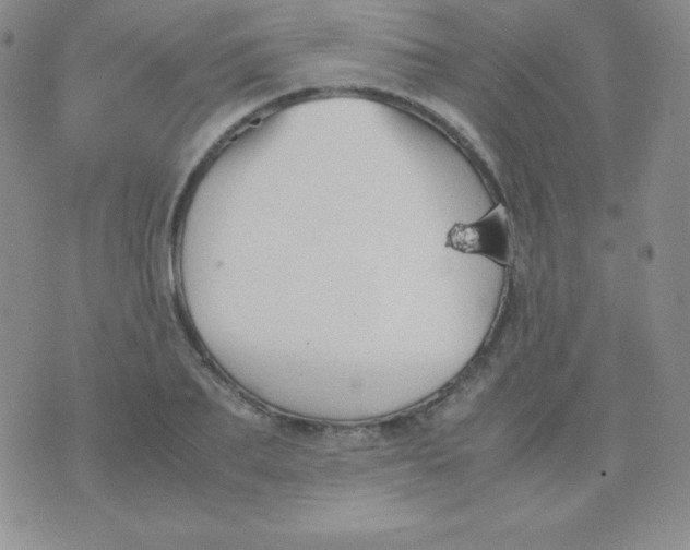 X0000071970887200607282055