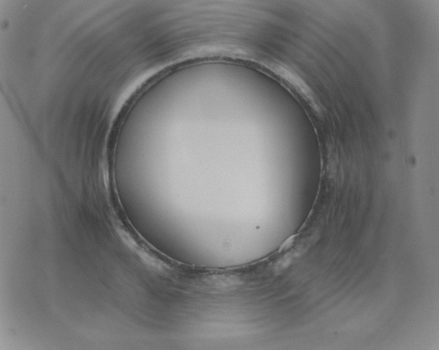 X0000071970888200607282055