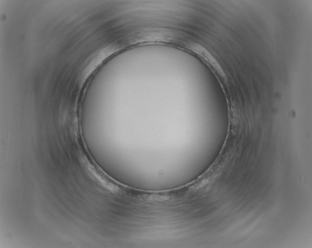 X0000071970890200607282055