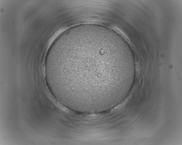 X0000071970891200607282055