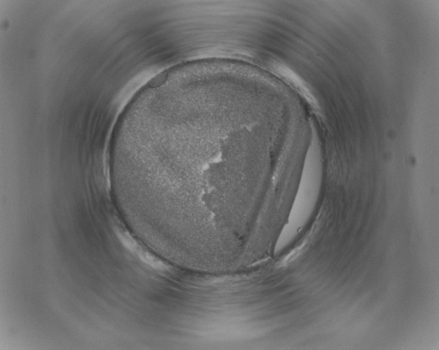 X0000071970892200607282055