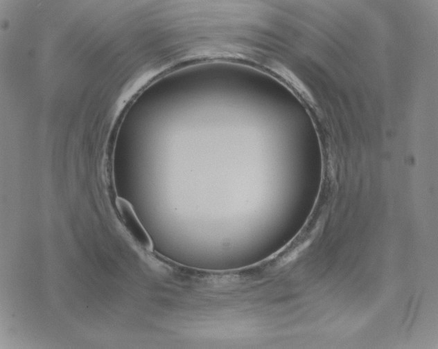 X0000071970893200607282055