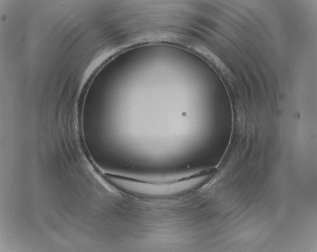 X0000071970894200607282055