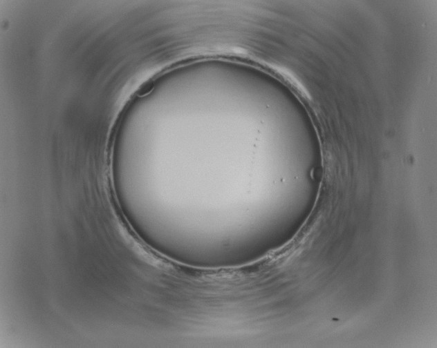 X0000071970895200607282055