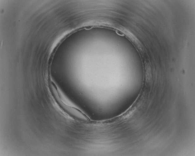 X0000071970896200607282055