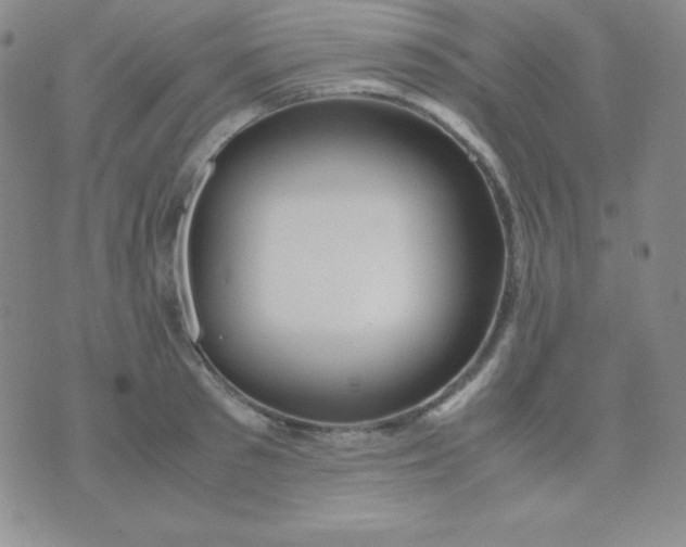 X0000071970897200607282055