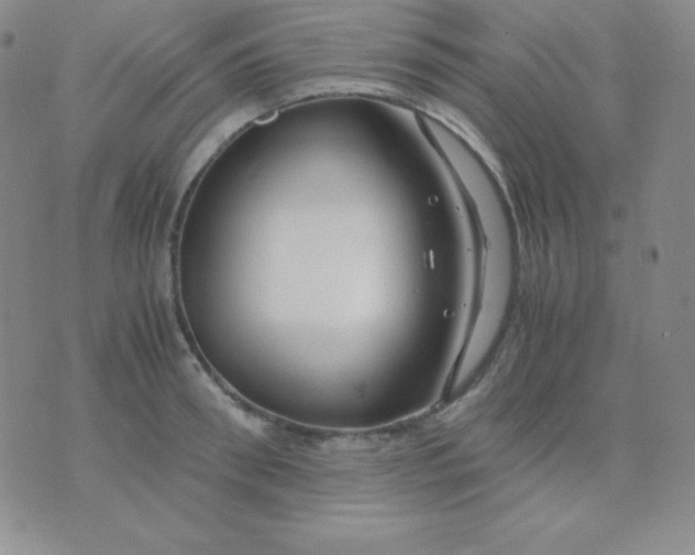 X0000071970898200607282055