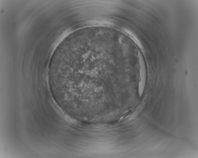 X0000071970899200607282055