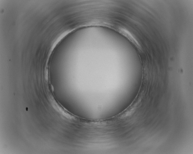 X0000071970900200607282055