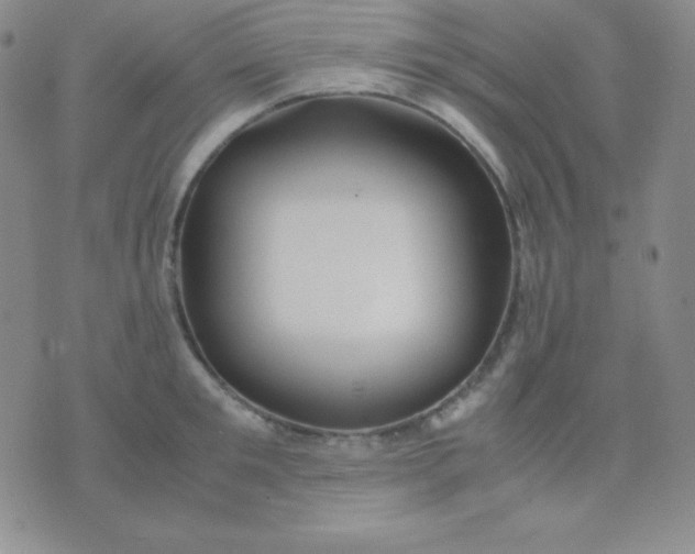 X0000071970901200607282055